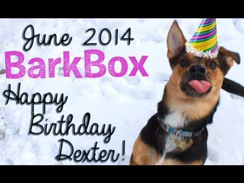 ty dexter birthday