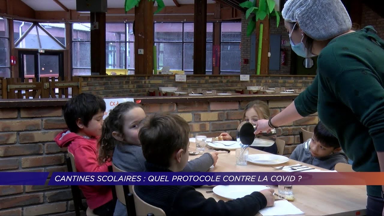 Yvelines | Cantines scolaires : quel protocole contre la covid ?