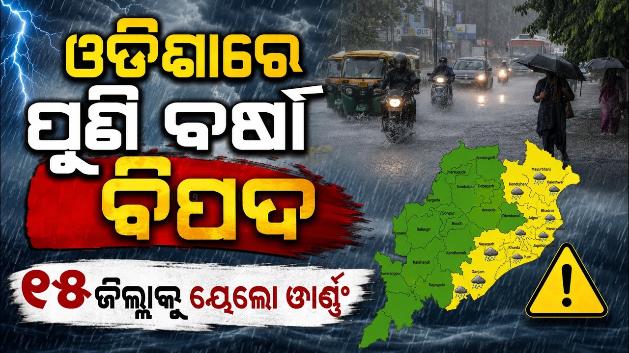 Odisha Heavy Rain Alert: Yellow Warning Issued For 18 Districts From August 1 | Argus News