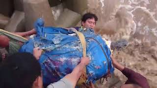 Xem Phóng sinh Vích biển nặng 80kg tại Biển Bạc Liêu