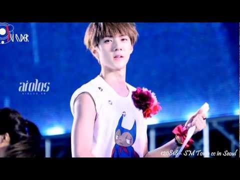 120818 EXO - SM Town Concert in Seoul