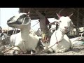 Bakrid Road Namaz News LIVE: बकरीद पर कार से भी महंगे बकरे | Eid-ul-Adha 2024 | NDTV Hindi  - 49:55 min - News - Video