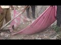 Danish Envoy Flags Trashy Area Near Embassy, Delhi Civic Body Takes Action  - 01:45 min - News - Video