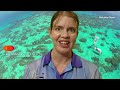 Underwater drone uses AI to study coral reefs | REUTERS  - 03:36 min - News - Video