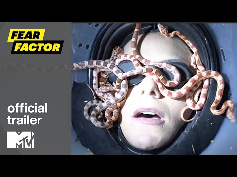 Fear Factor'