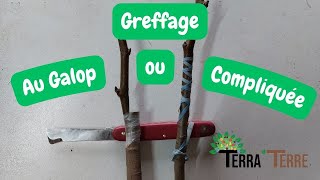 Greffe à lAnglaise compliquée et Anglaise Compliquée au galop - Comment greffer un arbre fruitier?