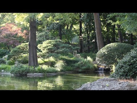 Entspannungsmusik - New Age - Meditation, Schlafen