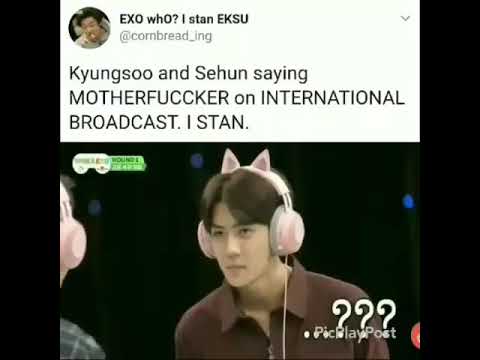Kpop vines to procrastinate pt.23