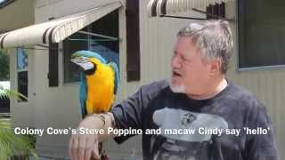 The Ellenton community Colony Cove was started in 1957 and now has an estimated 3,800 residents. 'Living in the Cove and Loving It' is their motto. Video by James A. Jones Jr., Bradenton Herald. Bradenton.com