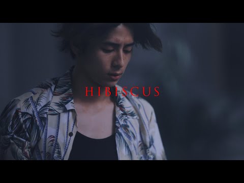 ナオト・インティライミ - 「ハイビスカス」Music Video