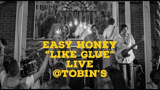 Easy Honey - Like Glue (Live in Charleston)