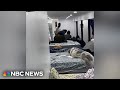 40 migrants found sleeping in New York City basement after neighbor complaint