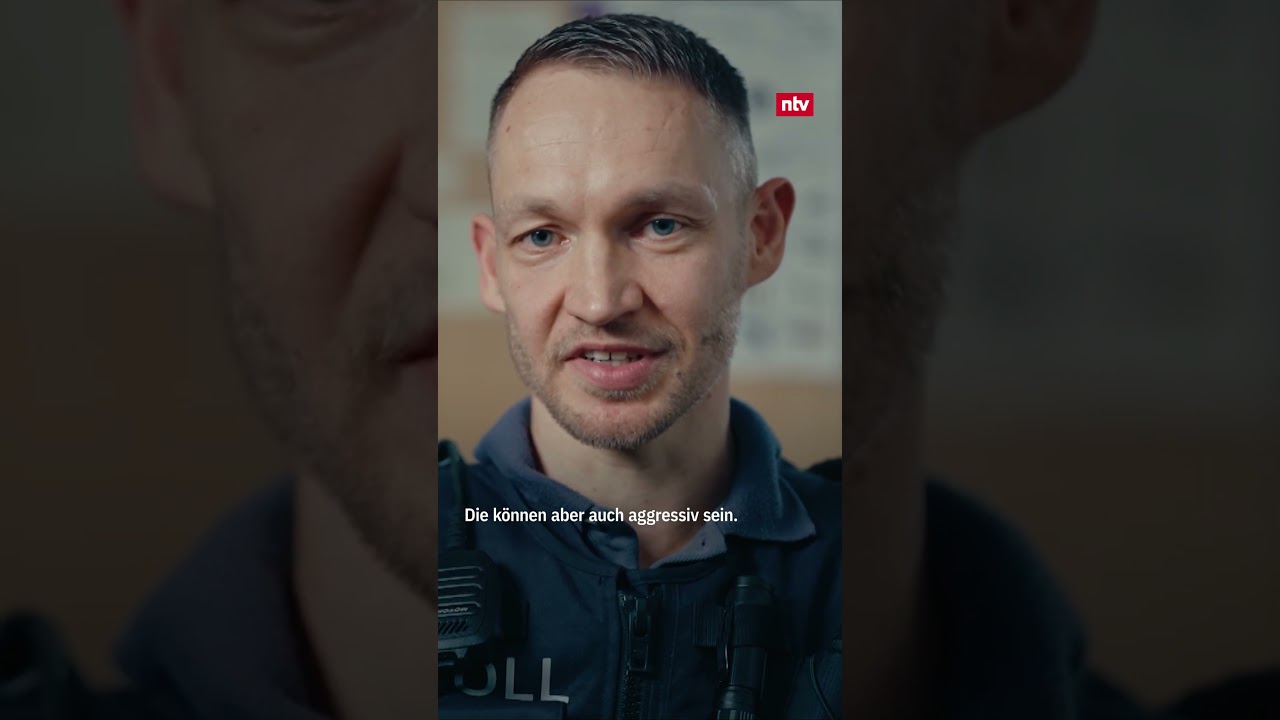 Der Zoll - Kampf gegen das Verbrechen | Jetzt auf RTL+ streamen (Link in der Beschreibung)