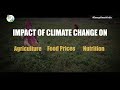 Highlights Of 2023: Impact Of Climate Change On Agriculture, Food Prices And Nutrition  - 10:02 min - News - Video