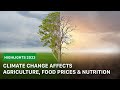 Highlights Of 2023: Impact Of Climate Change On Agriculture, Food Prices And Nutrition