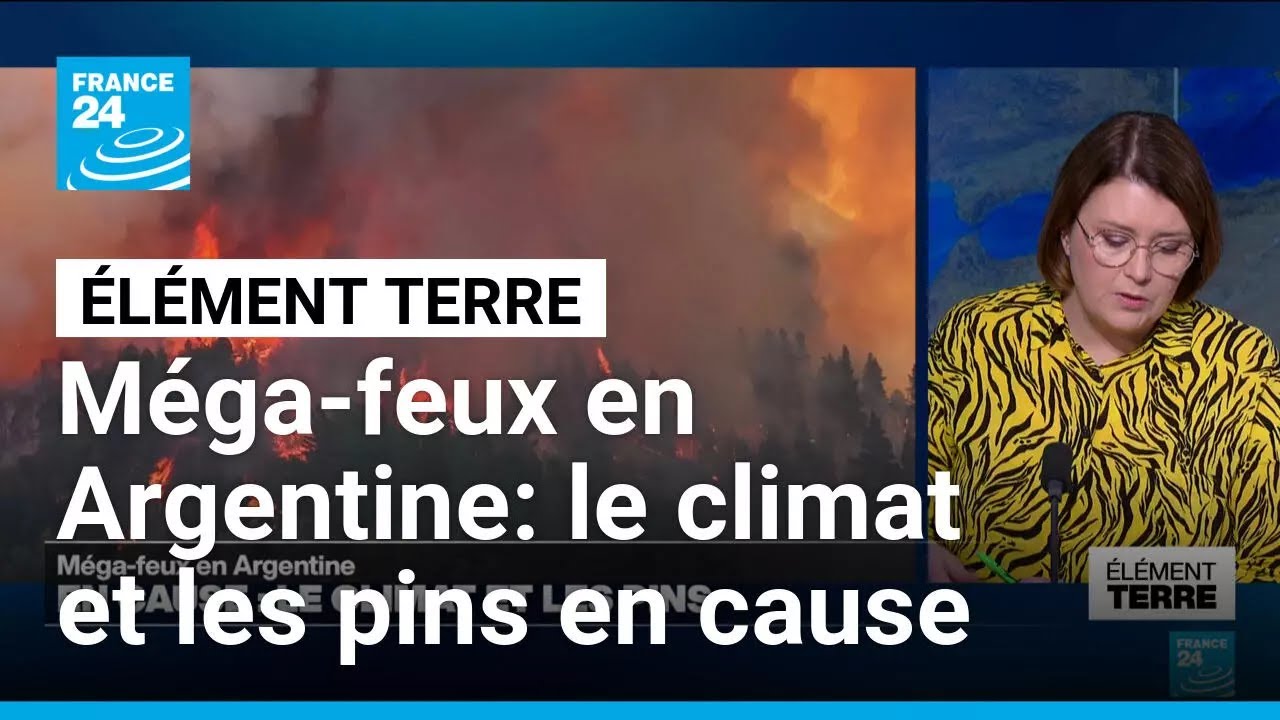 Les causes environnementales des méga-feux en Argentine • FRANCE 24