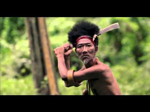 The Head Hunter'
