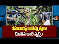 రహదారిపై అకస్మాత్తుగా కూలిన భారీ వృక్షం |A huge tree suddenly fell on the road | 10tv