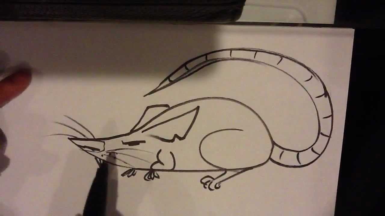 how-to-draw-a-rat-easy-drawings-youtube