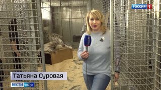 Корреспондент «Вестей» Татьяна Суровая лично познакомилась с символом 2022 года