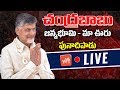Chandrababu LIVE- Janmabhoomi Maa Vooru Programme at Punadhipadu