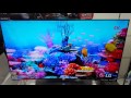 4k video OLED 4k tv LG 55EG9609