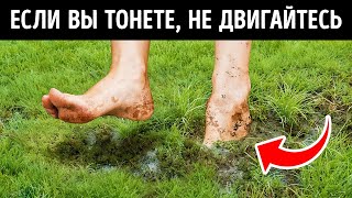 Инстинкты выживания, которые нужно освоить, когда время против вас. Есть ли у людей инстинкты ?