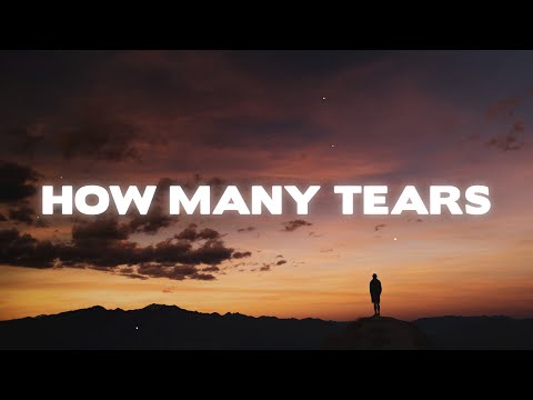 Kygo, Sam Feldt - How Many Tears (Lyrics) ft. Emily Warren