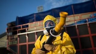 The Truth About the Zika Virus: Jon Rappoport on The ...