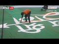 Ayodhya : श्रीराम की 18,000 स्क्वायर फीट की रंगोली से विश्व रिकॉर्ड बनाने की तैयारी | Jharkhand  - 01:32 min - News - Video