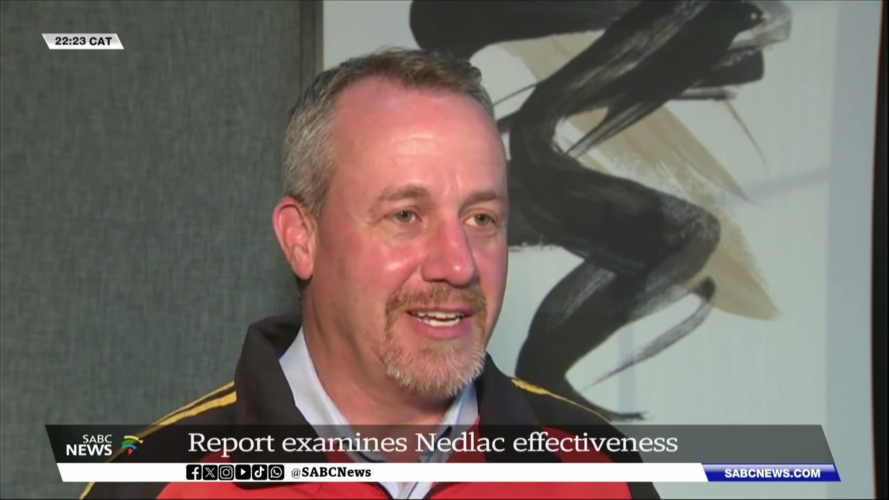 Report examines Nedlac effectiveness: Dr Ongama Mtimka