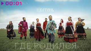 Цветень — Где родился | Official Audio | 2025