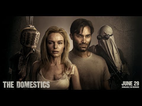 The Domestics'