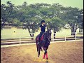 Shaakuntalam actress Samantha enjoys horse riding, shares pic