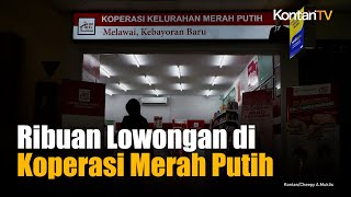 Kemenkop Buka Ribuan Lowongan di Koperasi Merah Putih, Gaji Rp 7,25 Juta
