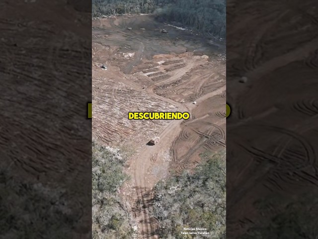 Ellos están destruyendo la selva de los mexicanos “a escondidas” #viral #shorts #noticiasmexico
