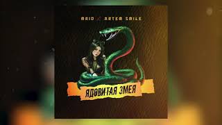 MriD, Artem Smile — Ядовитая змея