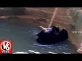 Bear Falls into Farm Well in Karimnagar, Rescued