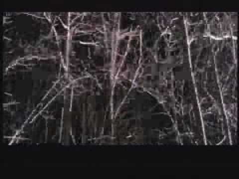 Wendigo'