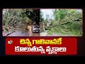 Dangerous Huge Trees In Hyderabad | GHMC హైదరాబాద్‌లో డేంజర్‌గా మారిన రోడ్డు పక్క వృక్షాలు | 10TV