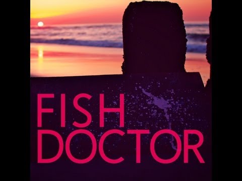 FISHDOCTOR - Summer in the Wintertime