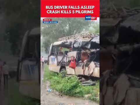 Driver Falls Asleep 5 Pilgrims Dead in Jharkhand Crash Jharkhand deoghar accident 28 thousand views  play Short