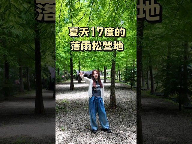 夏天氣溫只有17度的避暑營地，海拔1100落羽松遮陽。 - 營火部落