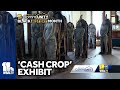 Cash Crop exhibit sparks conversation