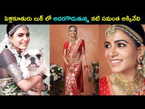 Actress Samantha Akkineni looks gorgeous in red Banarasi sari, photoshoot goes viral Actress Samantha Akkineni looks gorgeous in red Banarasi sari, photoshoot goes viral