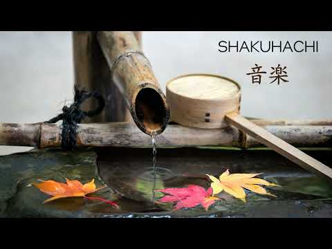 Rodrigo Rodríguez - The Tranquil Zen Garden of Kyoto | Shakuhachi Music | Rodrigo Rodriguez