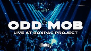 Odd Mob - Live at Boxpac Project