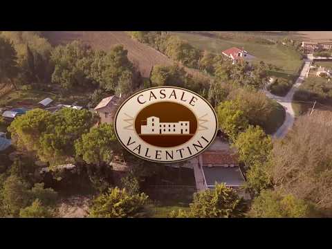 Video struttura
