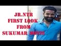 Jr NTR's First Look From Sukumar Movie