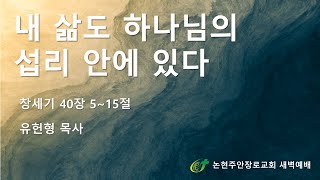 내 삶도 하나님의 섭리안에 있다